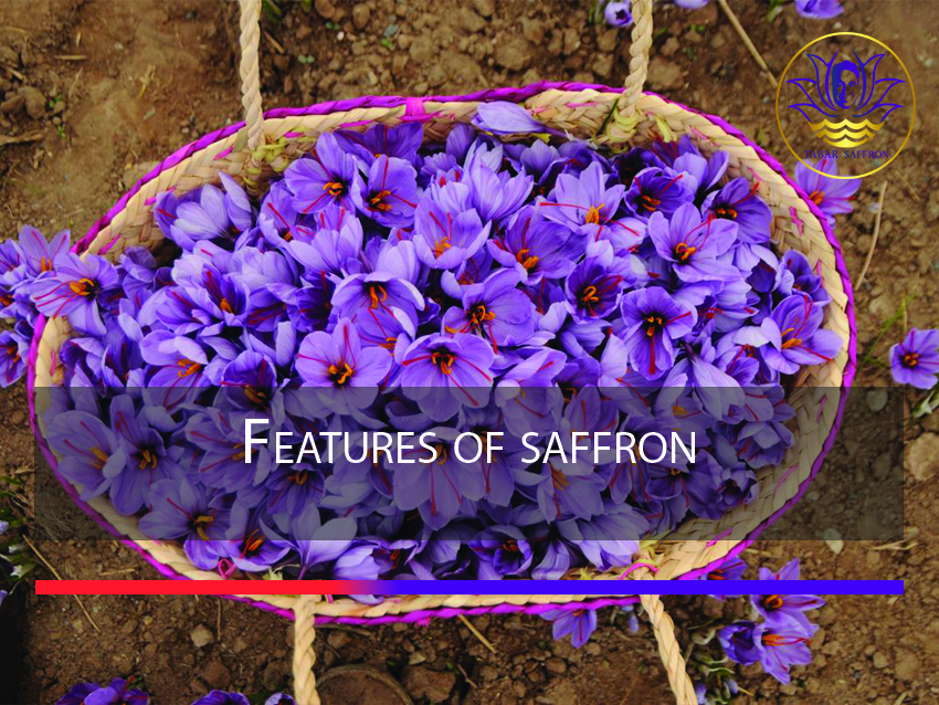 Features of saffron Tabar saffron